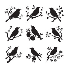 Vector set of sparrow silhouettes. Birds silhouettes collection Sparrow Silhouette 