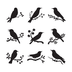 Vector birds silhouettes Sparrows Silhouette Pigeons Flying Silhouettes 1 brid silhouette