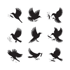 Vector birds silhouettes Sparrows Silhouette Pigeons Flying Silhouettes 1 brid silhouette