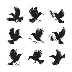 Vector birds silhouettes Sparrows Silhouette Pigeons Flying Silhouettes 1 brid silhouette