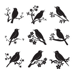 Vector birds silhouettes Sparrows Silhouette Pigeons Flying Silhouettes 1 brid silhouette