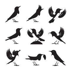Vector birds silhouettes Sparrows Silhouette Pigeons Flying Silhouettes 1 brid silhouette