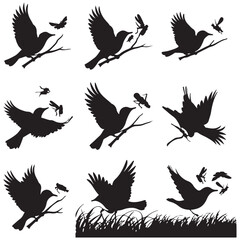 Vector birds silhouettes Sparrows Silhouette Pigeons Flying Silhouettes 1 brid silhouette