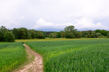 road in the field