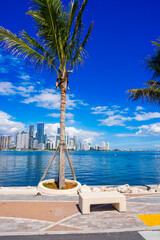 Miami key biscayne park overlooking Brickell 2025