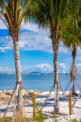 Beautiful new park Key Biscayne Miami Florida 2025
