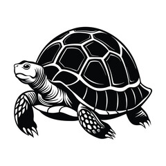 Turtle vector illustration Silhouette on white background
