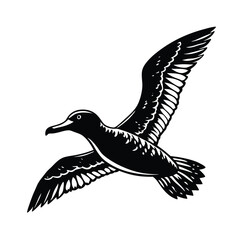 Albatross in Flight Silhouette on white background
