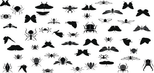 Insect silhouette collection, diverse bug species. Educational visual resource, insect vector set