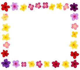 Fototapeta premium A floral frame of colorful flowers, in different shades of yellow, pink, red, and purple. Transparent background
