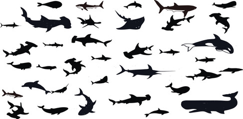 Shark silhouette vector set, fins, hammerhead, great white shark in black shapes, aquatic, marine