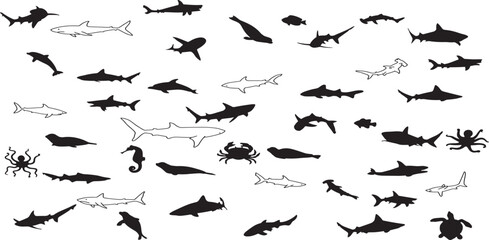 Shark silhouette vector set, fins, hammerhead, great white shark in black shapes, aquatic, marine