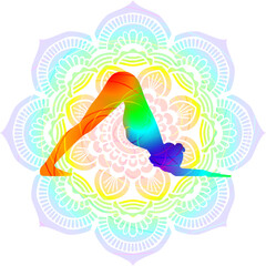 Colorful silhouette of woman practicing Ardha Pincha Mayurasana yoga pose. Dolphin pose or Turbo Dog pose. Shishulasana. Isolated vector illustration