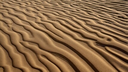 Wavy patterns of golden sand spread across the desert landscape, softly illuminated by midday sunlight. The selective focus and bokeh create a tranquil, blurred background.