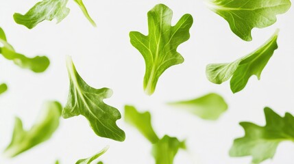 Crisp fresh endive leaves appearing suspended mid-air, showcasing their ruffled edges against a clean white background.