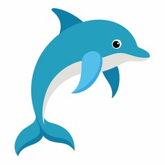 dolphin isolated on white background