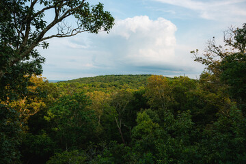 Obraz premium Sandstone formations and cliffs at Garden of the Gods in the Shawnee Forest, Illinois.