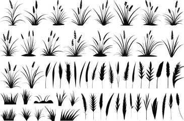 Obraz premium Grass silhouettes set. Black grass vector illustrations isolated on transparent background