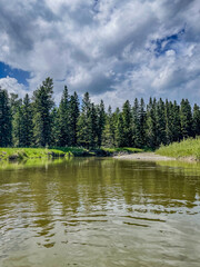 Obraz premium Forested riverbank with calm water and cloudy sky