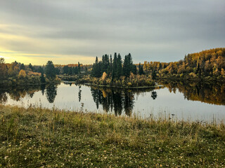 Autumn Forest Reflecting on Calm Lake Under Overcast Sky