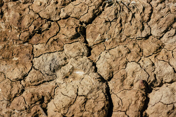 Macro photography of the texture of a dried soil, illuminated by the sun of the afternoon, in a farm near the colonial town of Villa de Leyva, in central Colombia.
