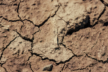 Macro photography of the texture of a dried soil, illuminated by the sun of the afternoon, in a farm near the colonial town of Villa de Leyva, in central Colombia.