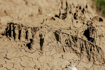 Macro photography of the texture of a dried soil, illuminated by the sun of the afternoon, in a farm near the colonial town of Villa de Leyva, in central Colombia.