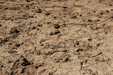 Macro photography of the texture of a dried soil, illuminated by the sun of the afternoon, in a farm near the colonial town of Villa de Leyva, in central Colombia.