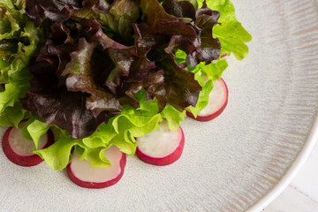 Fresh salad with radish
