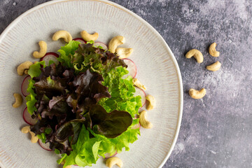 Fresh salad with radish