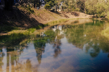 View of the reflection of trees and the sky on a murky  green water pond, in a farm near the colonial town of Villa de Leyva in central Colombia.
