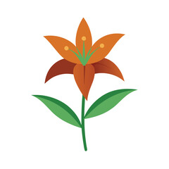 orange flower isolated on white background