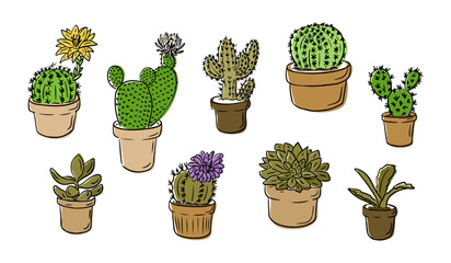 Collection of hand drawn potted cacti and succulents in a colorful doodle style, featuring different shapes, sizes, and blooming flowers, perfect for home decor. Vector illustration