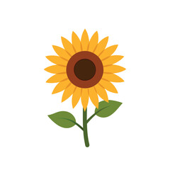 Vibrant Sunflower in Full Bloom with Natural Texture and Rich Colors