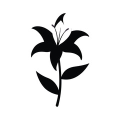 lily silhouette on white background