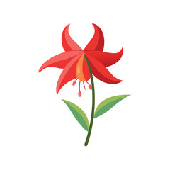 red flower isolated on white background