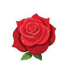 Deep Purple Rose Flower with Lush Petals on White Background