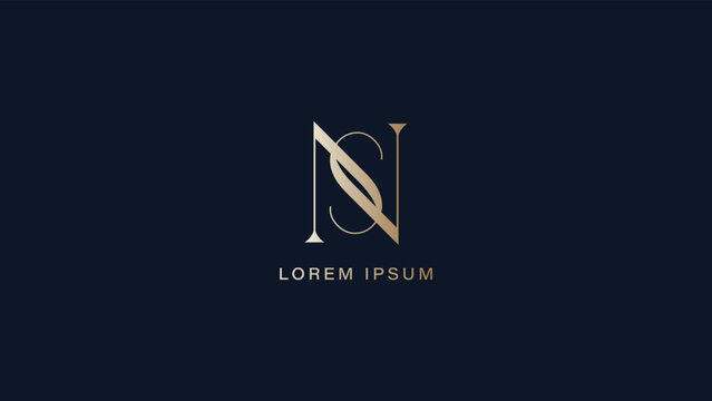ns letter logo design, sn logo, luxury brand logo ns logo template