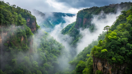 Exploring remote jungle valleys surrounded by steep trees lush landscape nature photography aerial view serene environment