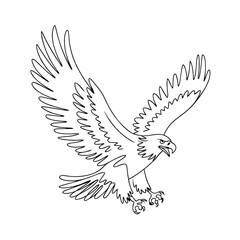 Obraz premium Majestic Flying Eagle Outline Vector Illustration for Design and Art Projects
