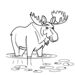 Fototapeta premium Moose Standing in Water Line Art Illustration for Nature and Wildlife Themes