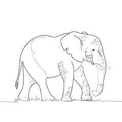 Fototapeta premium Elephant Line Art Minimalist Vector Walking on Grass