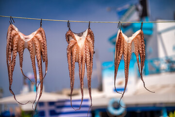 Freshly caught octopus drying in the sun at a seaside taverna in
