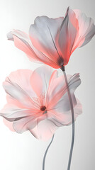 Obraz premium A flower with petals made of glass, light pink and white 