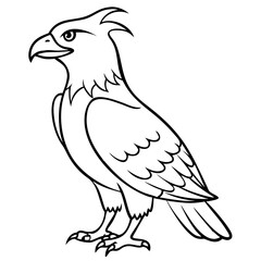 Fototapeta premium Majestic Eagle Outline Vector Art for Educational and Decorative Use