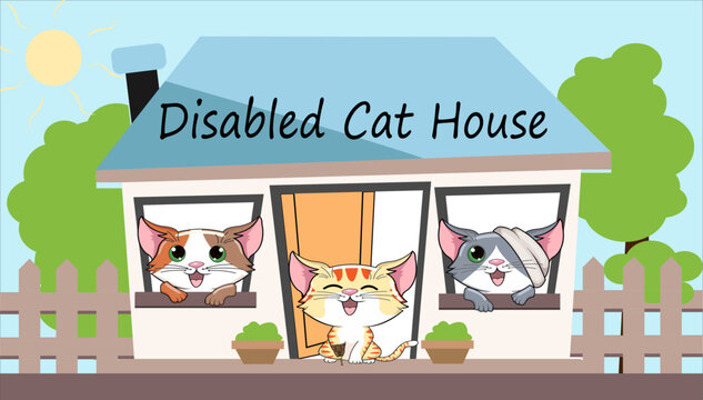 disabled cartoon cat at home Illustration Image