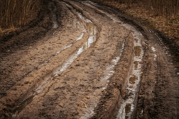 A muddy dirt road with deep tire tracks and puddles winds through a forest. The wet, uneven terrain...