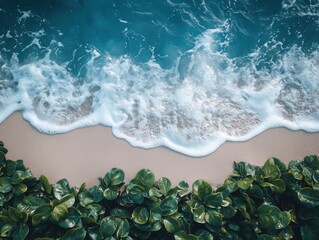 Fototapeta premium An overhead view of a beach with waves and bushes.