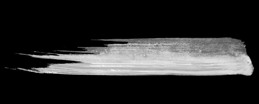 Black and white paint. White brush strock texture on the black background. Brush strokes with rough edge. Dry brush watercolor illustration. Dry brush watercolor illustration.
