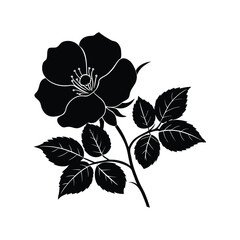 A flower silhouette isolated on white background.